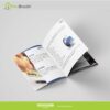 Company Profile & Catalog - Image 7