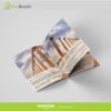 Company Profile & Catalog - Image 5